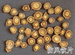 Fang Feng2