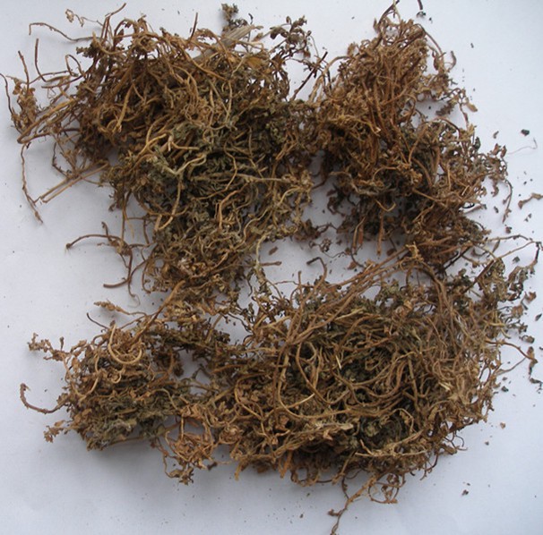 Small Centipeda Herb