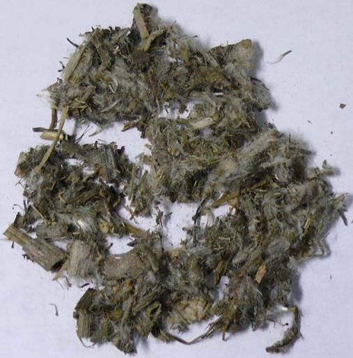 Herba Senecionis Kirilowi