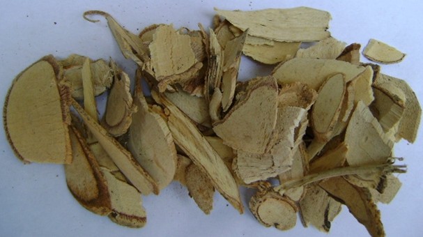 Mao Ren Shen