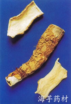 Rhizoma Alocasiae Macrorrhizae