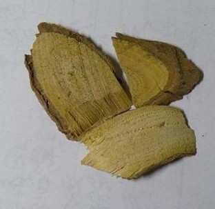 Ling Xiao Gen