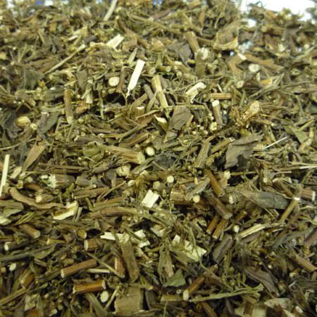 Herba Artemisiae Japonicae
