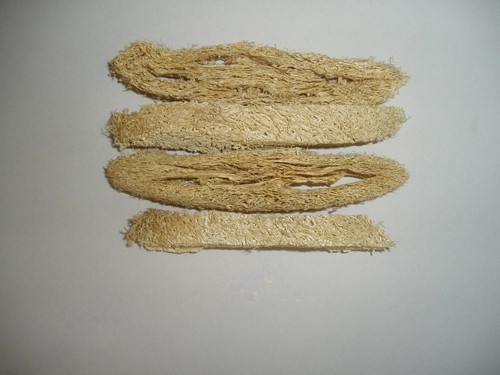 Towel Gourd Vegetable Sponge