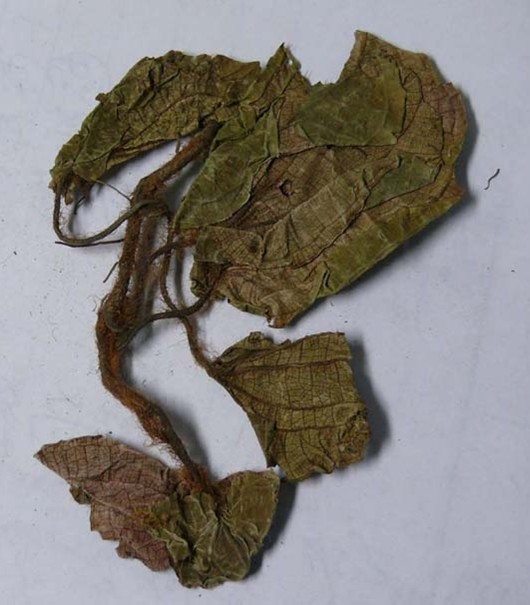 Hu Er Cao