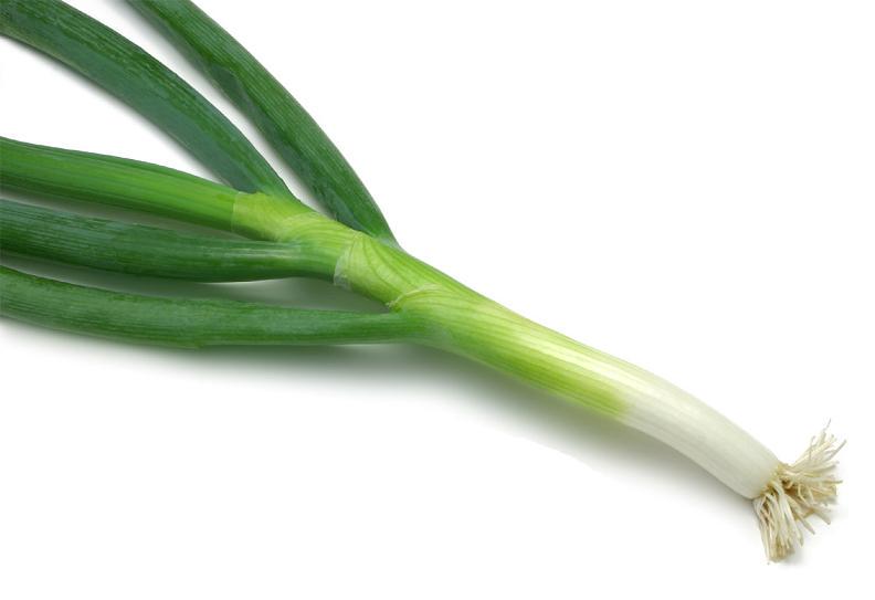 Fistular Onion Juice