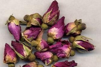 Chinese Rose Flower