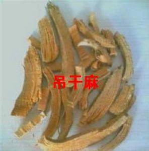 Diao Gan Ma
