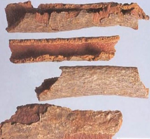 Di Feng Pi