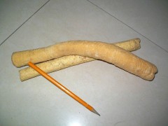 Geng Tong Cao