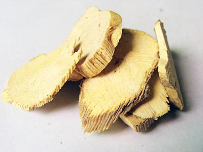 Caulis Akebiae