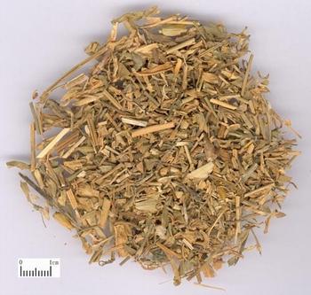 Herba Dianthi