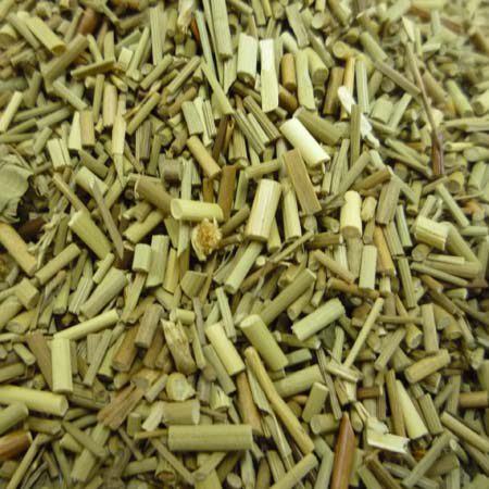 Herba Junci Setchuensis