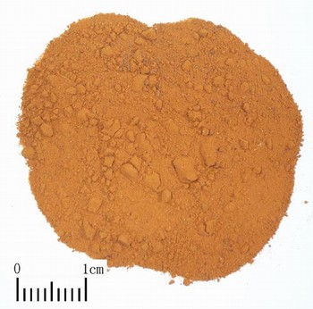 Spora Lygodii