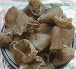 Zhu Ti Jia