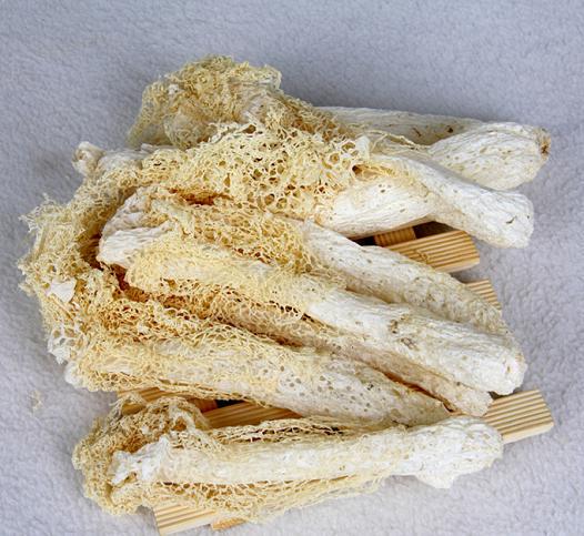 Zhu Sun
