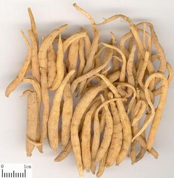 Tai Zi Shen