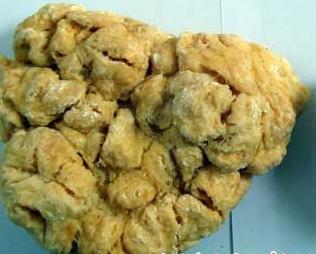 Dried Human Placenta