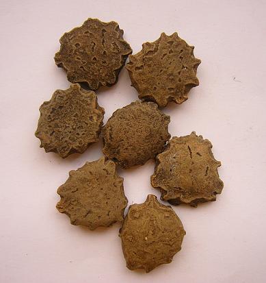 Cochinchina Momordica Seed