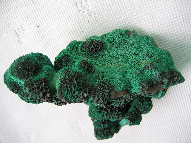 Verdigris