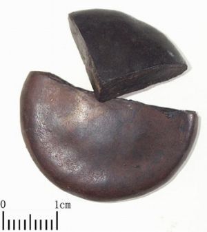 Venenum Bufonis